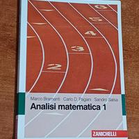 Libro analisi matematica 1