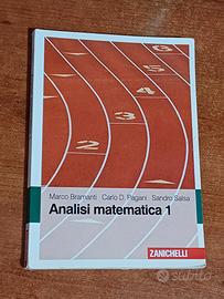 Libro analisi matematica 1