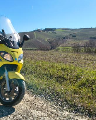 Piaggio X9 500 - 2003
