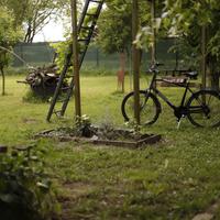 Giardino piantumato e attrezzato