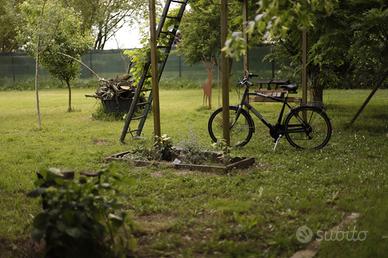 Giardino piantumato e attrezzato