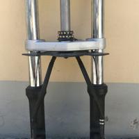 forcella Tmax