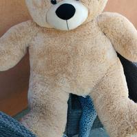 Orso peluche