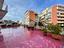 Immagine 25