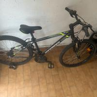 Mountainbike
