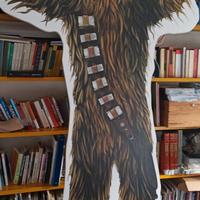 appassionati di Star Wars 