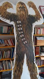 appassionati di Star Wars 