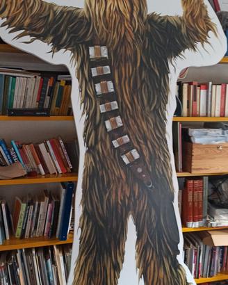 appassionati di Star Wars 