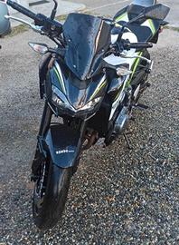 Kawasaki Z 900 - 2019