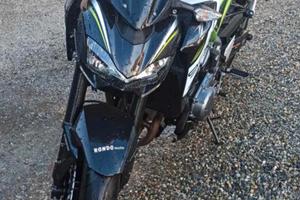 Kawasaki Z 900 - 2019