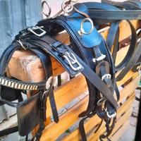 finimenti da carrozza completa 