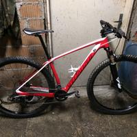 mtb specialized stumpjumper