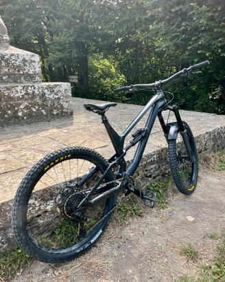 Canyon torque 2020
