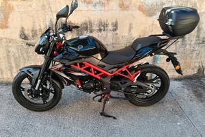 Benelli BN 125