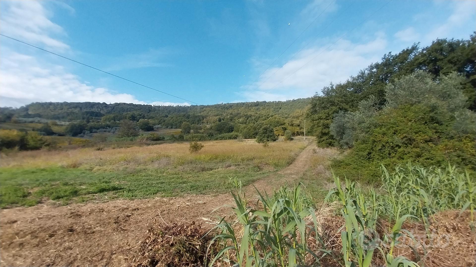 Terreno Agricolo - Vista 4