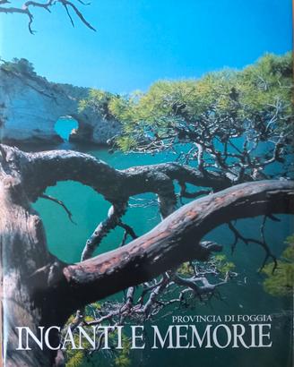 Libro : INCANTI E MEMORIE- Provincia di Foggia