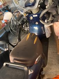Flipper 50  Parma città