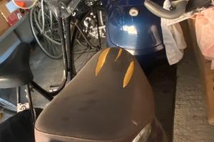 Flipper 50  Parma città
