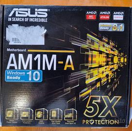 Scheda madre Asus AM1M-A nuova