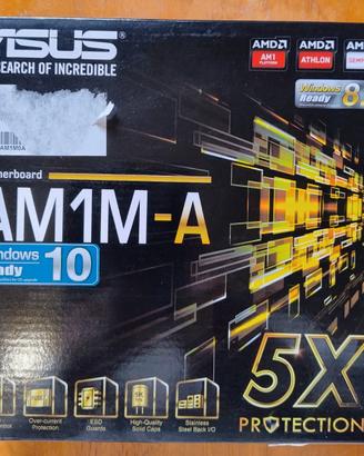 Scheda madre Asus AM1M-A nuova