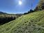 Immagine 11
