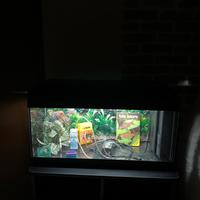 Acquario 90 litri