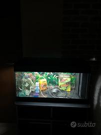 Acquario 90 litri
