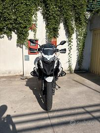 Benelli TRK 502X