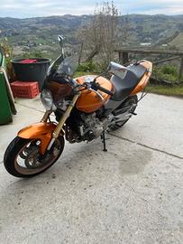 honda hornet 600
