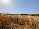 ter-agricolo-a-selargius