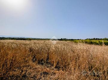 TER. AGRICOLO A SELARGIUS