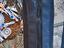 Immagine 4