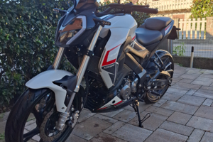 Keeway RKF 125 (2022)