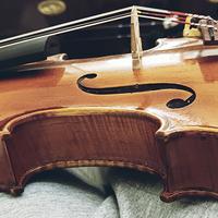 Violino di liuteria