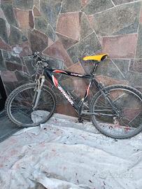 Bicicletta ragazzo