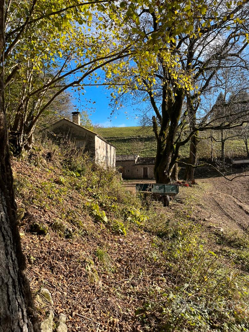 Terreno con bosco e case - Vista 3