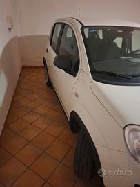 Auto fiat