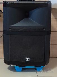 Due casse audio 300 watt