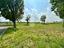 Immagine 15