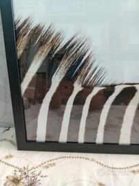 Stampa "criniera" Ikea in cornice e plexiglass 