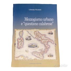 Mezzogiorno urbano e questione calabrese