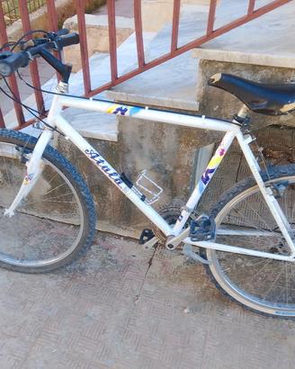 bicicletta