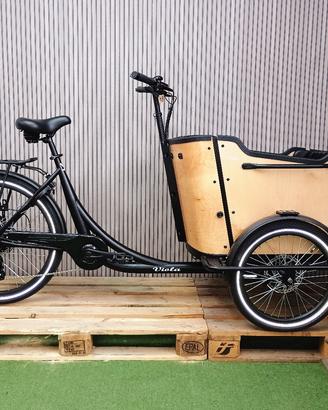 Cargo Bike Curvy a pedalata assistita 