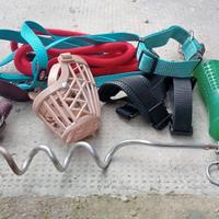 Guinzagli e pettorine per cani