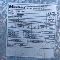 scheda caldaia Immergas 