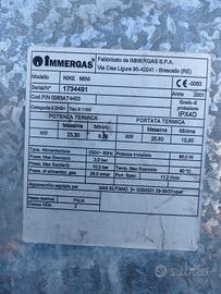 scheda caldaia Immergas 