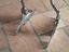 Immagine 4