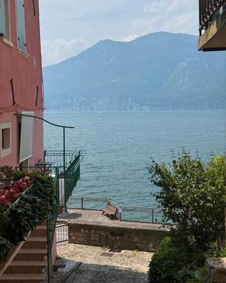 Brenzone: cantina - deposito ristrutturato