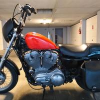 Harley Davidson 883 XL