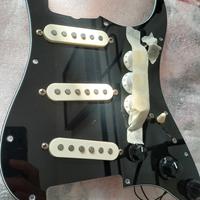 battipenna squier 